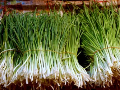 Как быстро вырастить зелёный лук в пакете: простой метод для вашей кухни